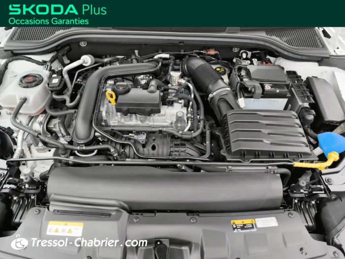 Skoda Scala 1.0 TSI Evo 110 ch BVM6 Ambition