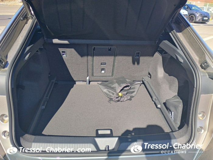 Cupra TAVASCAN 286 ch V