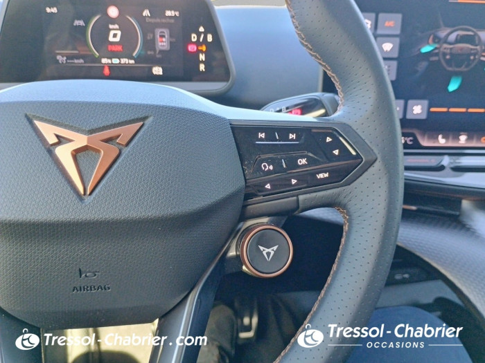 Cupra TAVASCAN 286 ch V