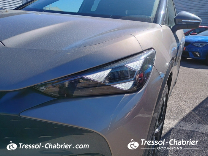 Cupra TAVASCAN 286 ch V