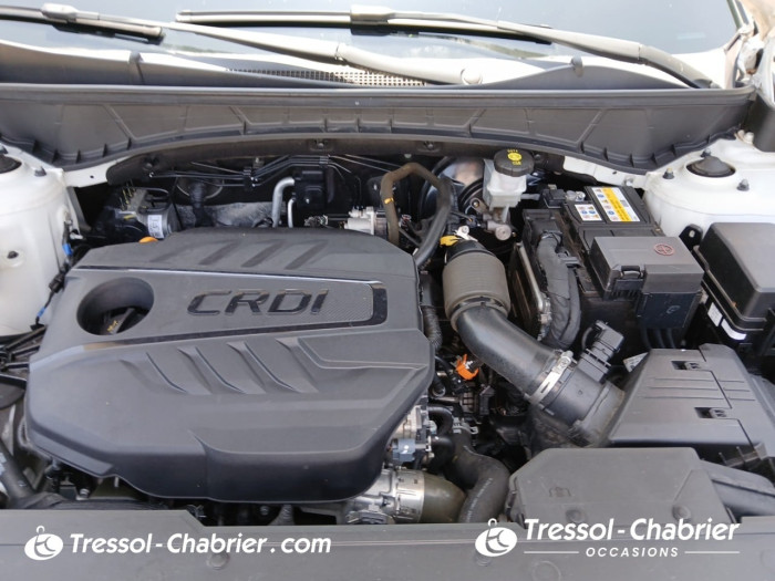 Hyundai Tucson 1.6 CRDi 136 Hybrid 48V DCT-7 Business