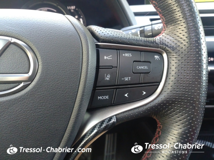 Lexus UX MY20 250h 4WD F SPORT Executive