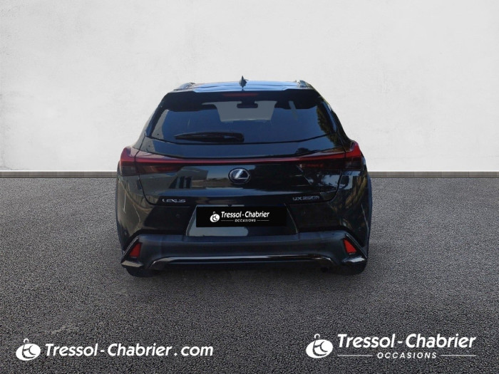 Lexus UX MY20 250h 4WD F SPORT Executive
