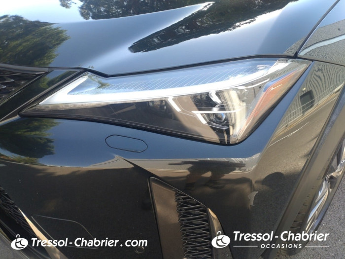 Lexus UX MY20 250h 4WD F SPORT Executive