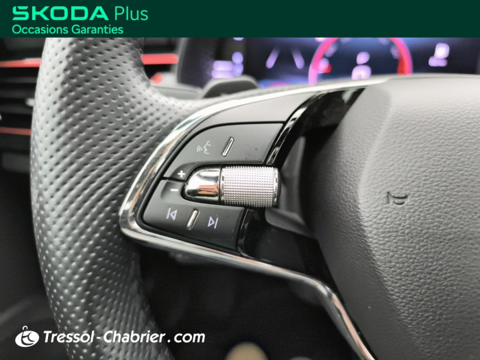 Skoda KAMIQ 1.0 TSI Evo 110 ch DSG7 Monte-Carlo