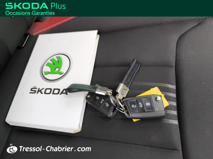 Skoda KAMIQ 1.0 TSI Evo 110 ch DSG7 Monte-Carlo