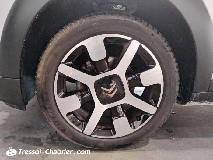 Citroën C4 Cactus BlueHDi 100 BVM Shine