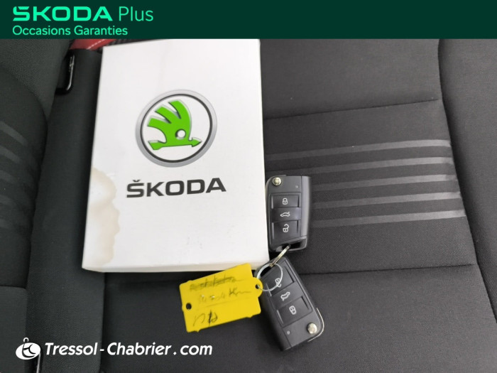 Skoda KAMIQ 1.0 TSI Evo 110 ch DSG7 Style