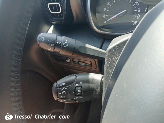 Citroën C3 AIRCROSS BUSINESS BlueHDi 100 S&S BVM6 Feel Business