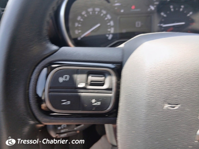 Citroën C3 AIRCROSS BUSINESS BlueHDi 100 S&S BVM6 Feel Business