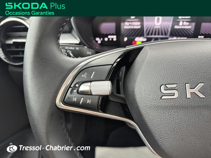 Skoda FABIA Nouveau 1.0 TSI 116 ch EVO 2 DSG7 Selection