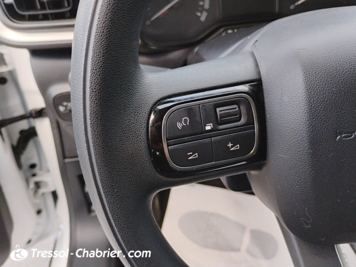 Citroën C3 PureTech 110 S&S BVM6 Graphic