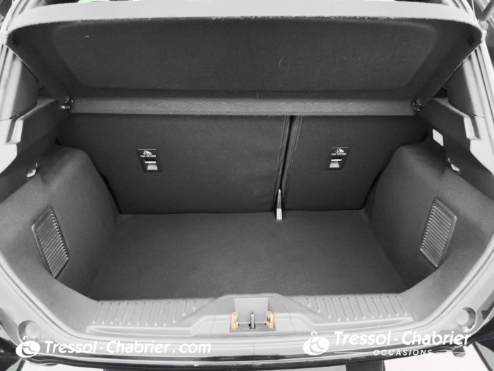 Ford Fiesta 1.0 Flexifuel 95 ch S&S BVM6 ST-Line