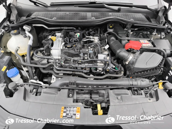 Ford Fiesta 1.0 Flexifuel 95 ch S&S BVM6 ST-Line