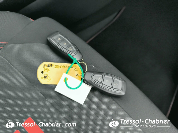 Ford Fiesta 1.0 Flexifuel 95 ch S&S BVM6 ST-Line