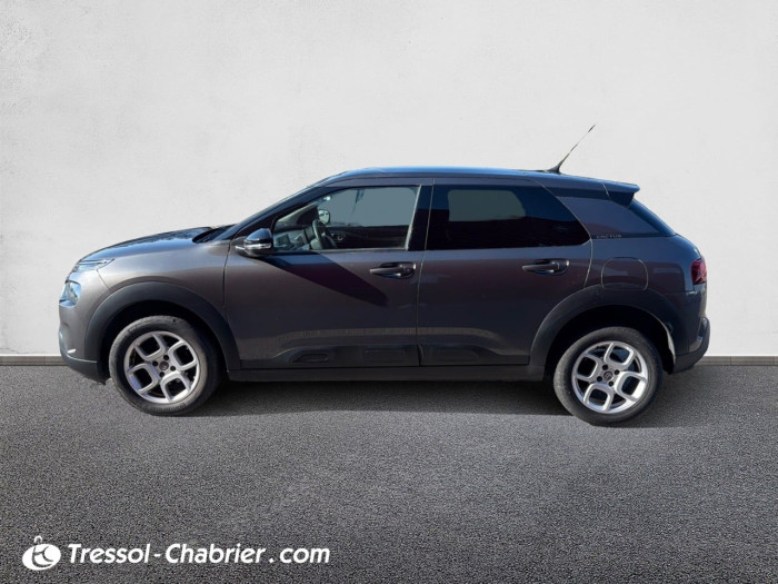 Citroën C4 Cactus PureTech 110 S&S BVM6 Shine