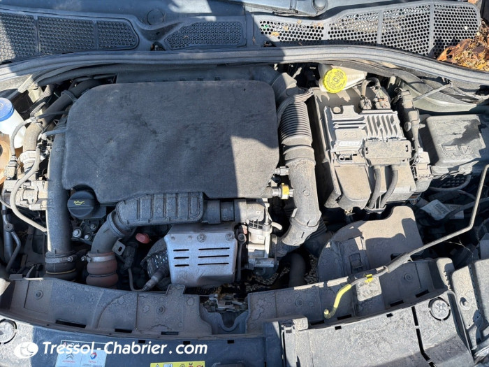 Citroën C4 Cactus PureTech 110 S&S BVM6 Shine