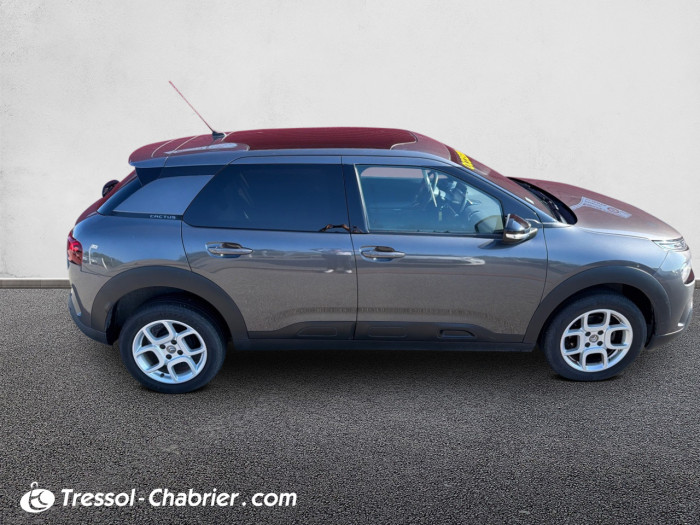 Citroën C4 Cactus PureTech 110 S&S BVM6 Shine