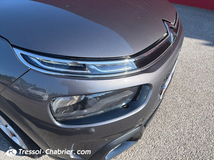 Citroën C4 Cactus PureTech 110 S&S BVM6 Shine