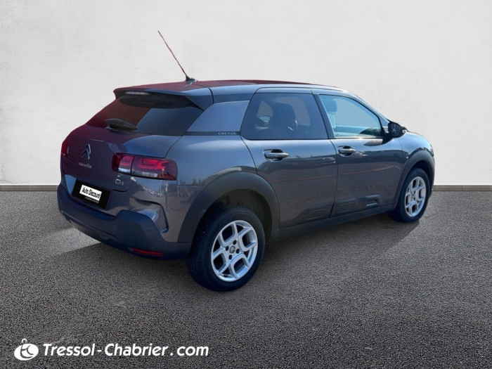 Citroën C4 Cactus PureTech 110 S&S BVM6 Shine