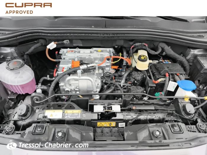 Cupra RAVAL Nouveau 211 ch Dynamic Plus