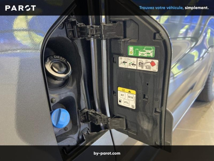 Ford Transit Custom Fg 320 L1H1 2.0 EcoBlue 170ch Multicab Limited BVA8