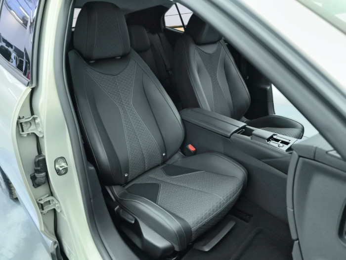 DS DS 4 Hybride E-Tense 225 EAT8 Trocadero