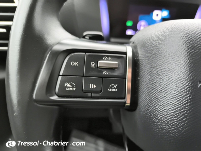 Citroën C4 BlueHDi 130 S&S EAT8 Shine Pack
