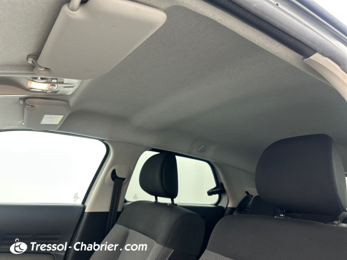 Citroën C4 Cactus PureTech 82 S&S ETG Feel
