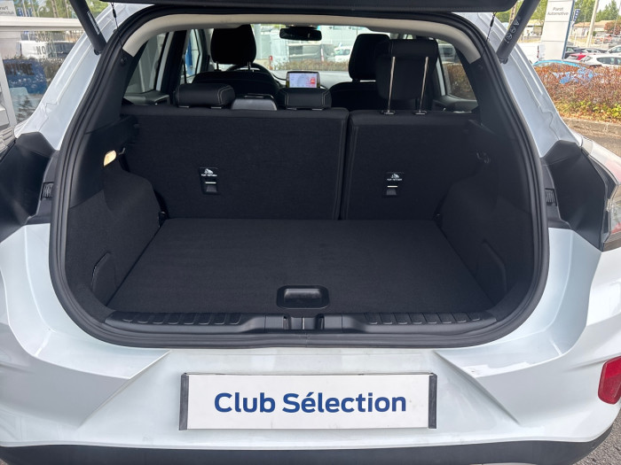 Ford Puma 1.0 Flexifuel 125ch S&S mHEV Titanium Business
