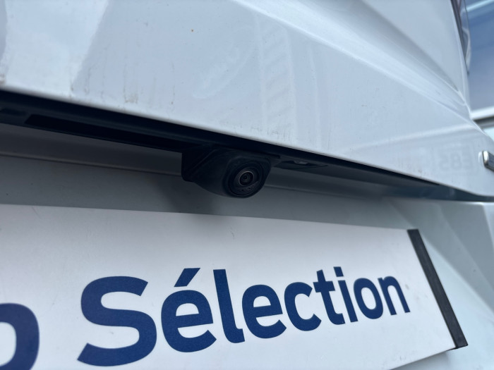 Ford Puma 1.0 Flexifuel 125ch S&S mHEV Titanium Business