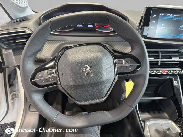 Peugeot 208 Affaire BLUEHDI 100 S&S BVM6 PREMIUM