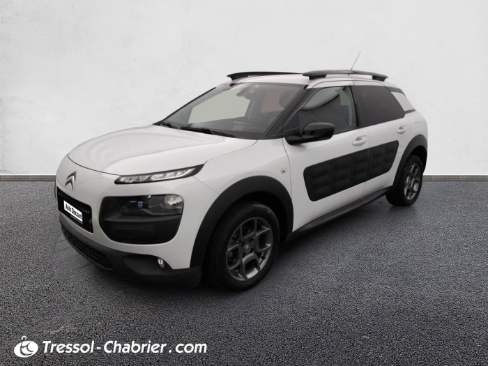 Citroën C4 CACTUS BUSINESS PureTech 110 S&S Business