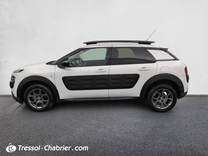 Citroën C4 CACTUS BUSINESS PureTech 110 S&S Business