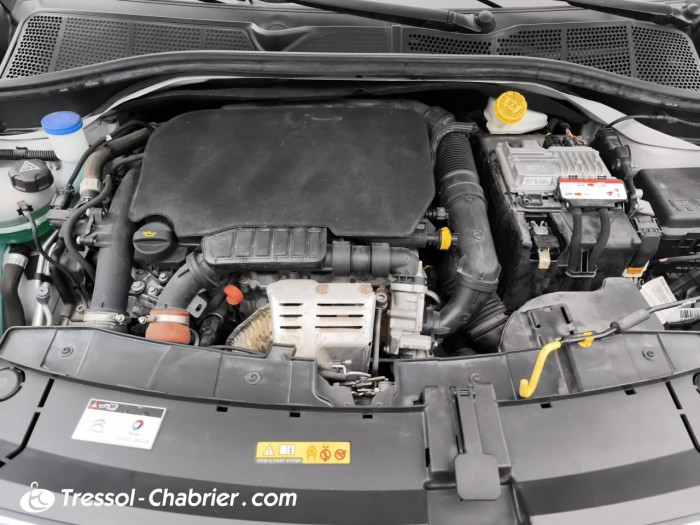 Citroën C4 CACTUS BUSINESS PureTech 110 S&S Business