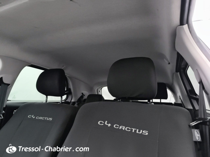 Citroën C4 CACTUS BUSINESS PureTech 110 S&S Business