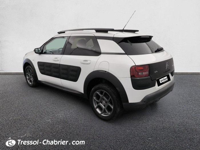 Citroën C4 CACTUS BUSINESS PureTech 110 S&S Business