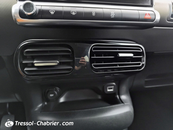 Citroën C4 CACTUS BUSINESS PureTech 110 S&S Business