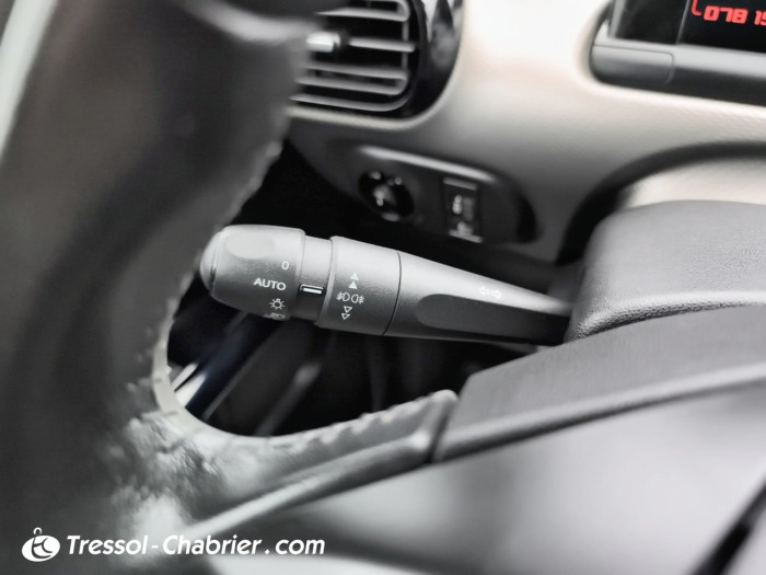 Citroën C4 CACTUS BUSINESS PureTech 110 S&S Business