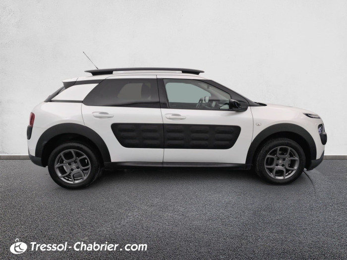 Citroën C4 CACTUS BUSINESS PureTech 110 S&S Business