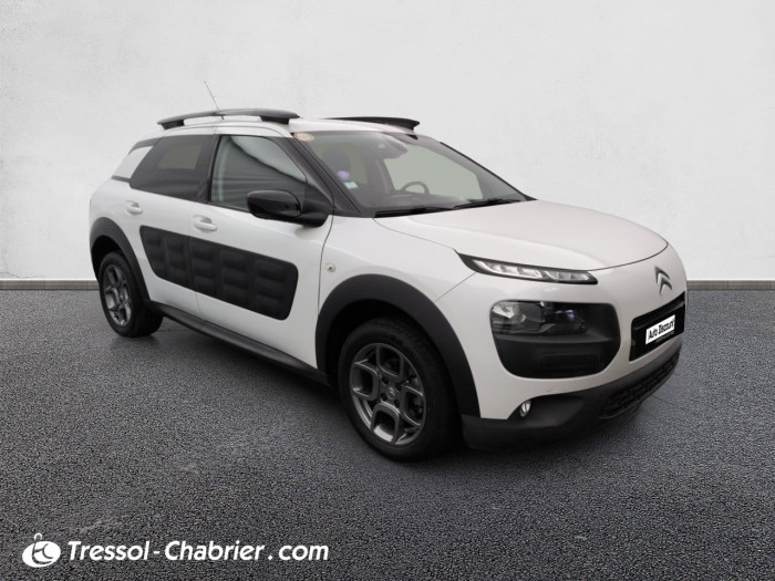 Citroën C4 CACTUS BUSINESS PureTech 110 S&S Business
