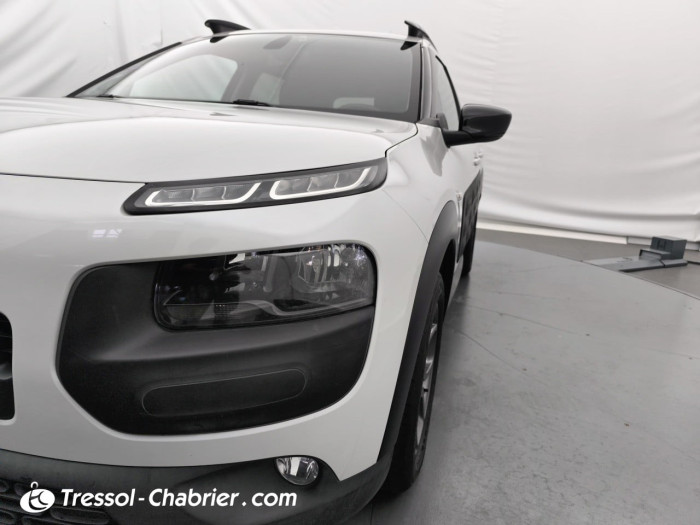 Citroën C4 CACTUS BUSINESS PureTech 110 S&S Business
