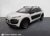 Citroën C4 CACTUS BUSINESS PureTech 110 S&S Business