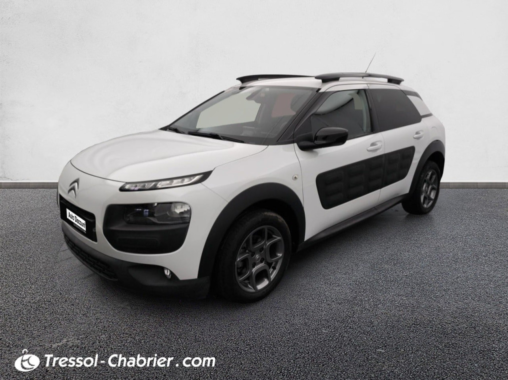 Citroën C4 CACTUS BUSINESS PureTech 110 S&S Business