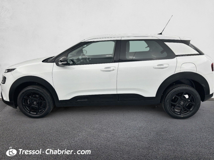 Citroën C4 CACTUS BUSINESS BlueHDi 100 S&S BVM6 Feel Business