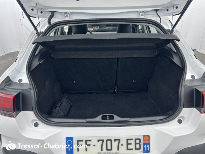 Citroën C4 CACTUS BUSINESS BlueHDi 100 S&S BVM6 Feel Business