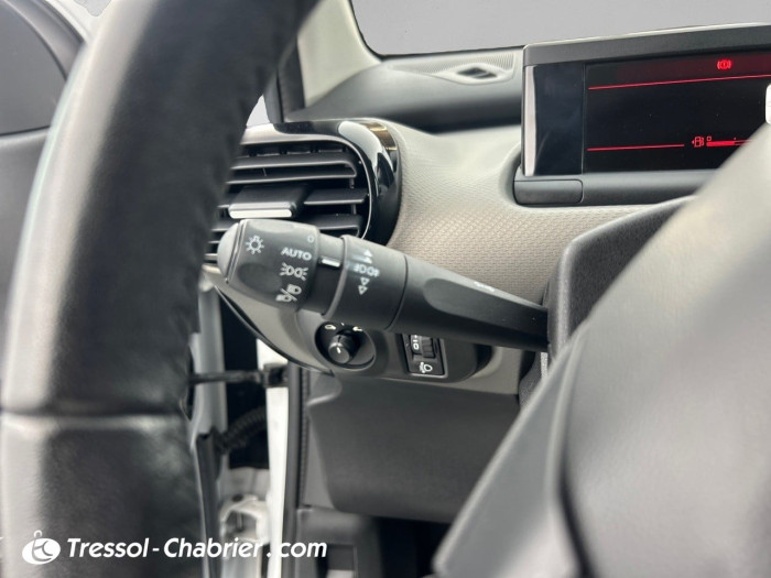 Citroën C4 CACTUS BUSINESS BlueHDi 100 S&S BVM6 Feel Business