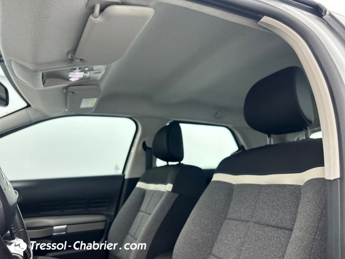 Citroën C4 CACTUS BUSINESS BlueHDi 100 S&S BVM6 Feel Business