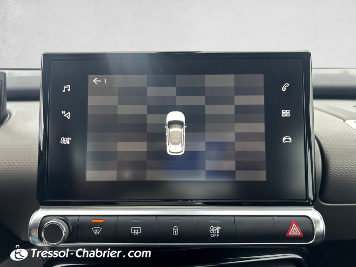 Citroën C4 CACTUS BUSINESS BlueHDi 100 S&S BVM6 Feel Business