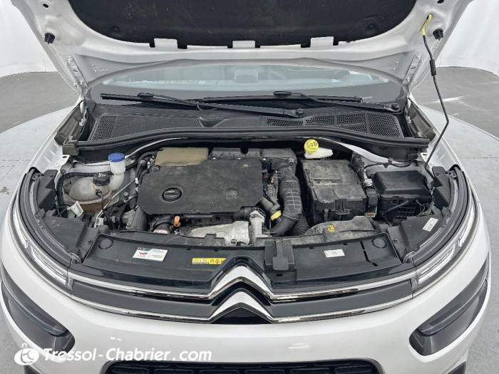 Citroën C4 CACTUS BUSINESS BlueHDi 100 S&S BVM6 Feel Business
